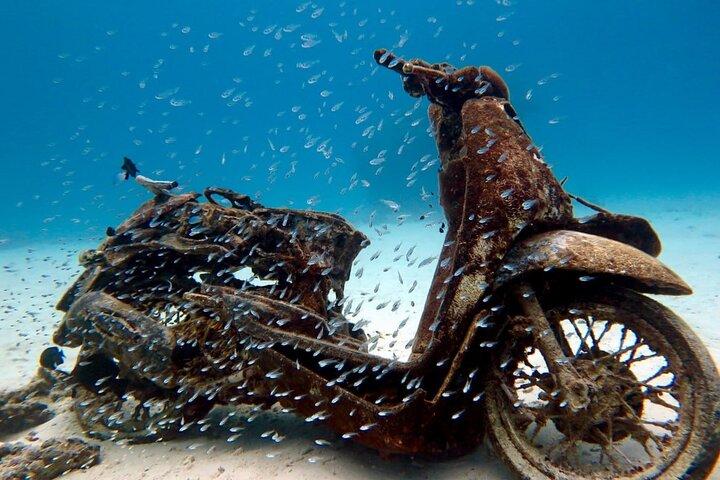 2 Fun Dives in Racha Yai or Noi for Certified Divers