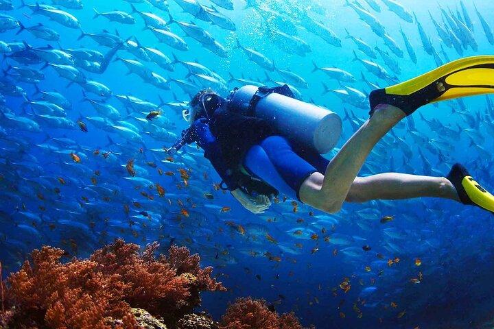 2 Fun Dives in Racha Yai or Noi for Certified Divers