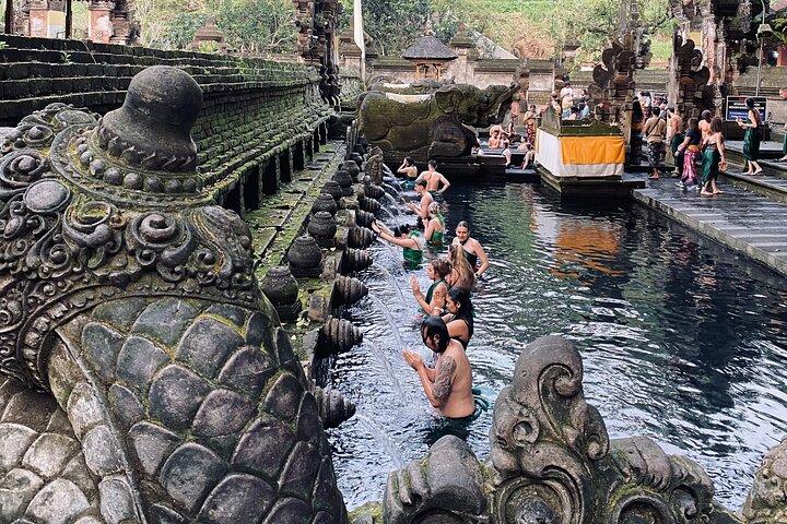 Ubud Private Tour: Hidden Waterfalls, Rice Terraces & Temple