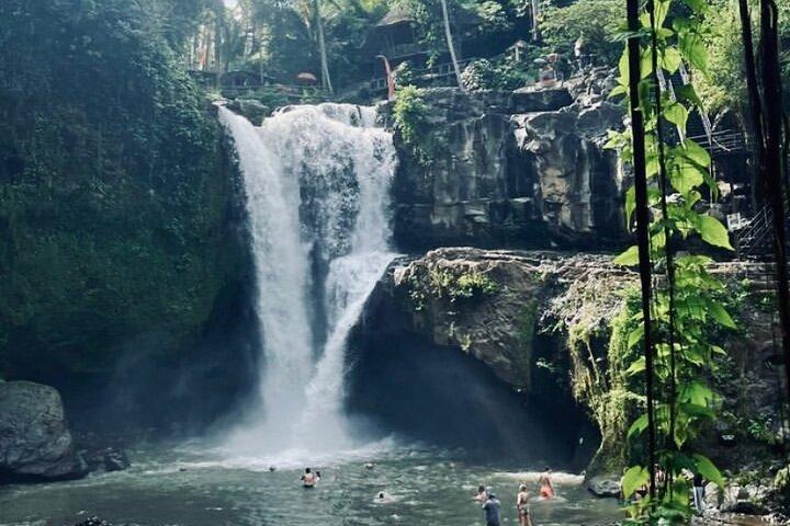 Ubud Private Tour: Hidden Waterfalls, Rice Terraces & Temple