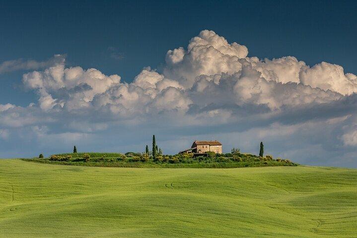 Tuscany Tour Siena - San Gimignano - Winery