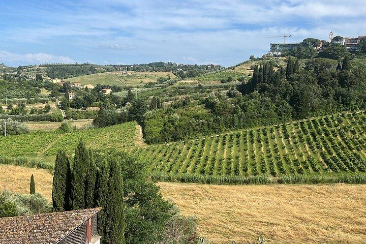 Tuscany Tour Siena - San Gimignano - Winery