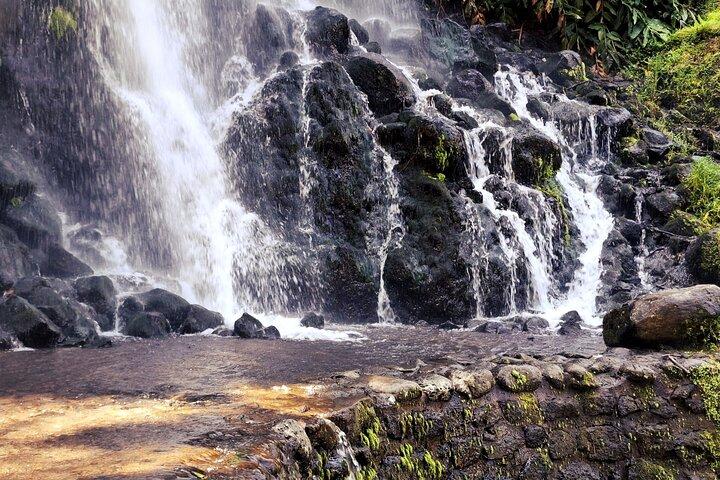 Furnas: Waterfall, Lush Valleys & Steaming Earth Full Day Tour