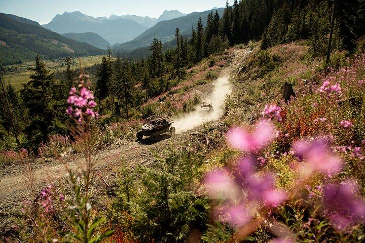 Side-by-Side Off-Roading Adventures on Cougar Mountain