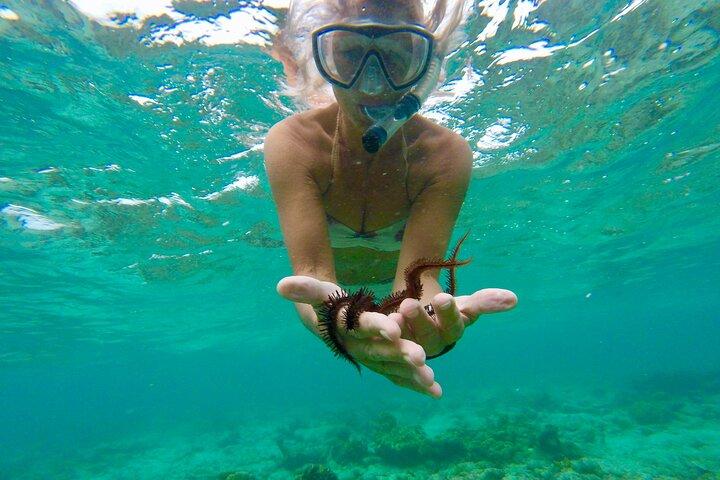 Glass Bottom Nylon Pool Tour in Buccoo Reef