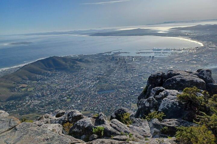 Table Mountain and Cape of Good Hope Tour