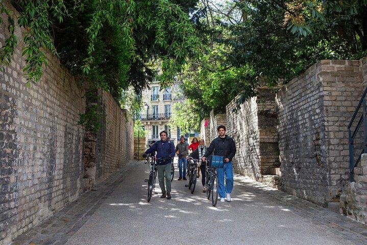 Best of Paris Small Group E-bike Guided tour (w/ optional Cruise)