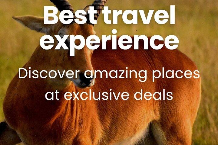 3 Days Unforgettable Masai Mara Safari Tour
