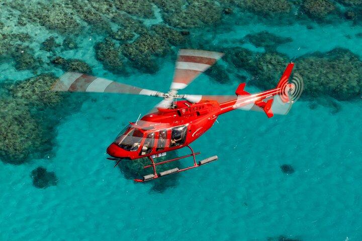 Great Barrier Reef or Rainforest Scenic Flights from Port Douglas