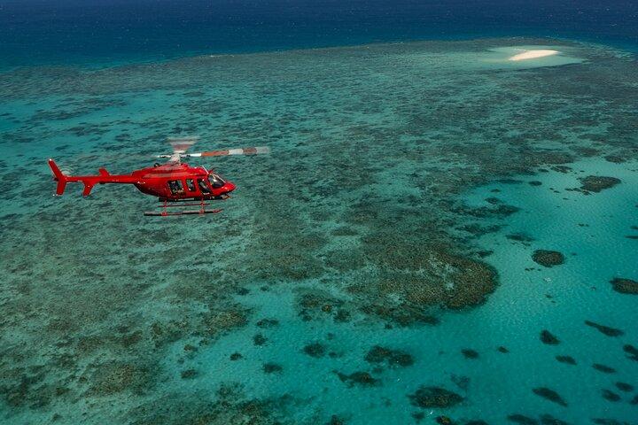 Great Barrier Reef or Rainforest Scenic Flights from Port Douglas