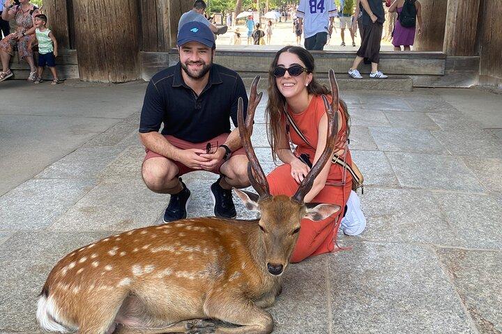 Exclusive Luxury Day Tours Serene Nara