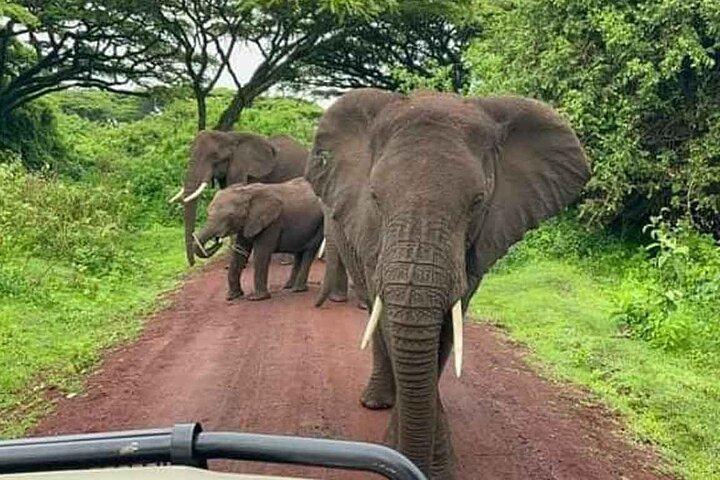 Day Tour in Tanzania -Arusha - Tarangire National Park - Arusha