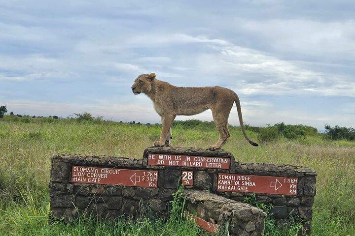 Nairobi National Park ,Beads factory and Giraffe Centre Tour