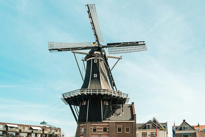Haarlem Private Day Trip from Amsterdam with Local