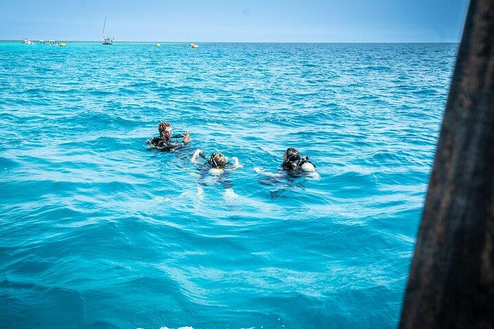 Zanzibar 1 Day Scuba Diving beginner course and Lunch