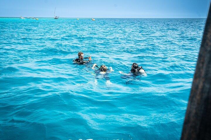 Zanzibar 2 Days PADI Scuba Diver Course (+ 2 OW Dives) Tour