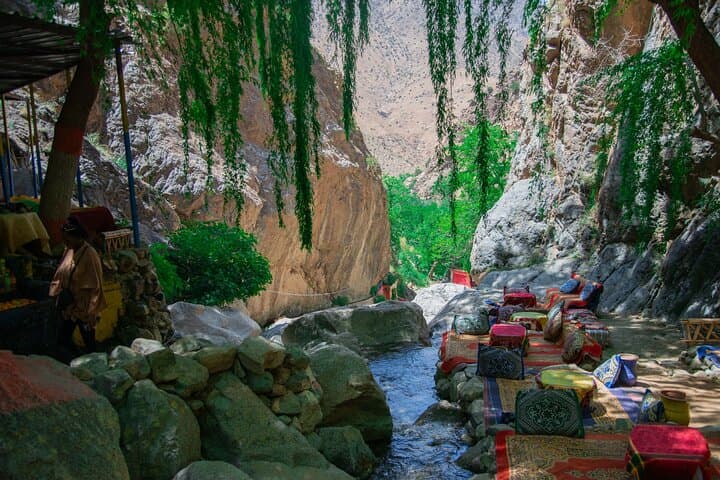 Marrakesh: Ourika Waterfalls, Atlas Mountains, Guide + Lunch