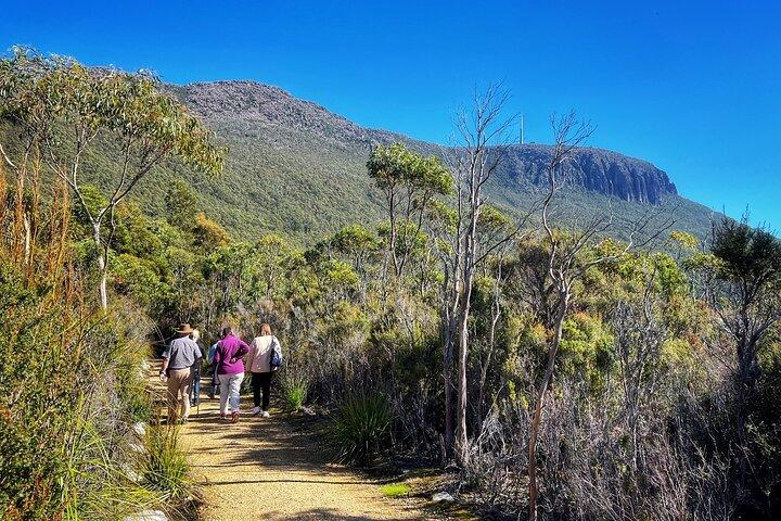 kunanyi/Mt Wellington Ultimate Experience Afternoon Tour