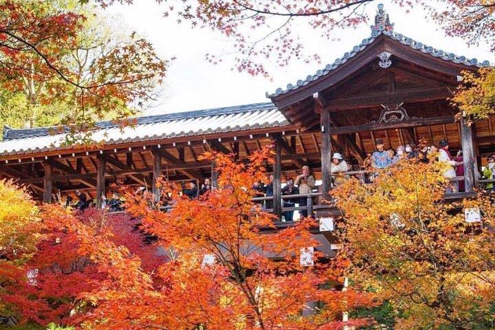 Kyoto tour 12 hours Private Nagoya pick up available