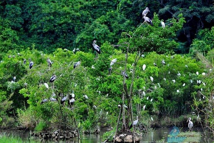 From Hanoi: Ninh Binh Highlights 2 Day 1 Night Small Group Tour