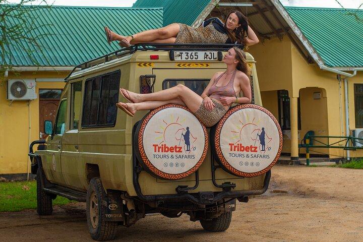 2 Days of Wonders: A Tanzania Safari Adventure