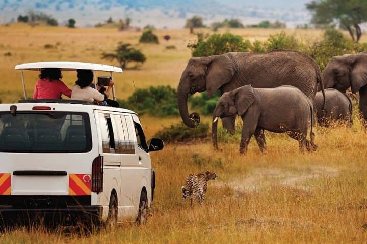 Top Rated 3 Day Masai Mara Safari – Game Drives and Scenic Views