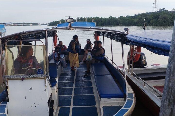 Fireflies & Silver Leaf monkey Tour With Free Batu Caves Temple
