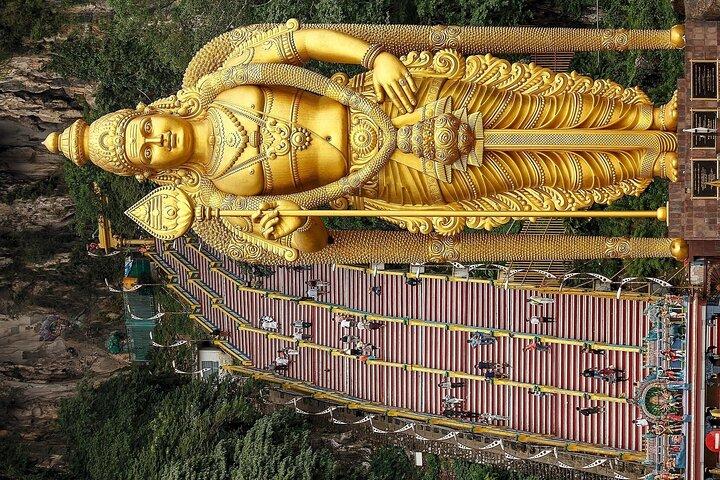 Fireflies & Silver Leaf monkey Tour With Free Batu Caves Temple