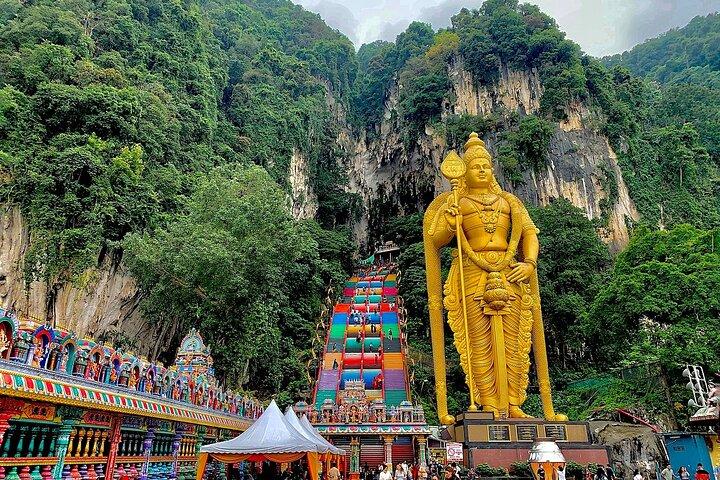 Fireflies & Silver Leaf monkey Tour With Free Batu Caves Temple