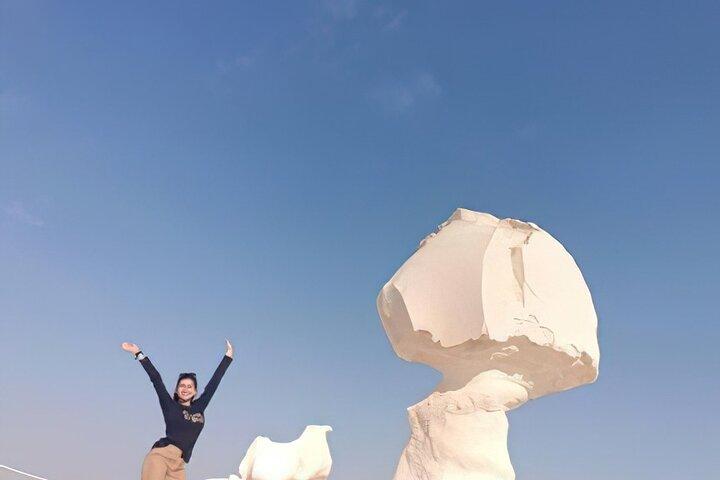 1 Night 2 Days Bahariya Oasis Camp and Desert Tour in Cairo