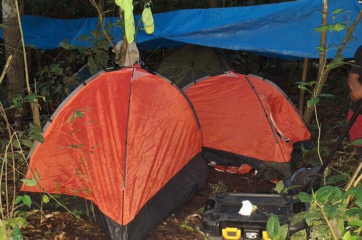 Amazon Untamed Expedition 3 Days and 2 Nights pacaya samiria
