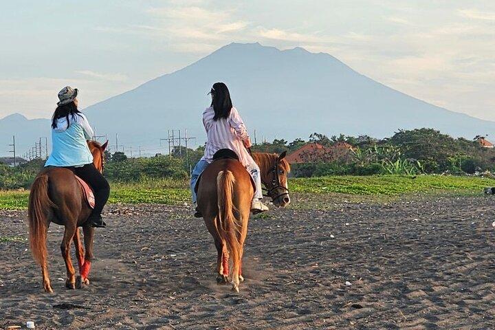 Bali Horse Riding, Waterfall, Rice Terrace, Lunch - All Inclusive