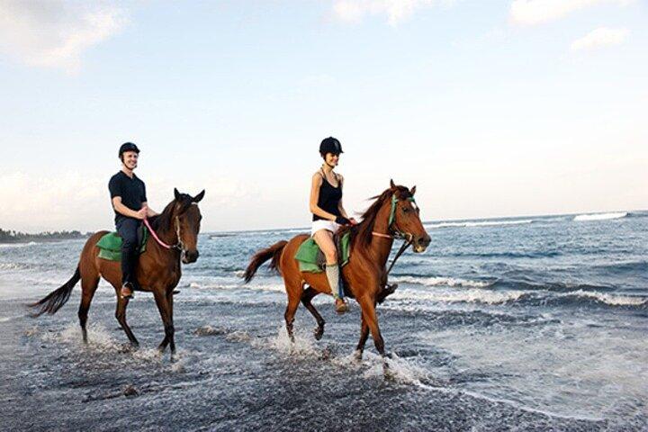 Bali Horse Riding, Waterfall, Rice Terrace, Lunch - All Inclusive