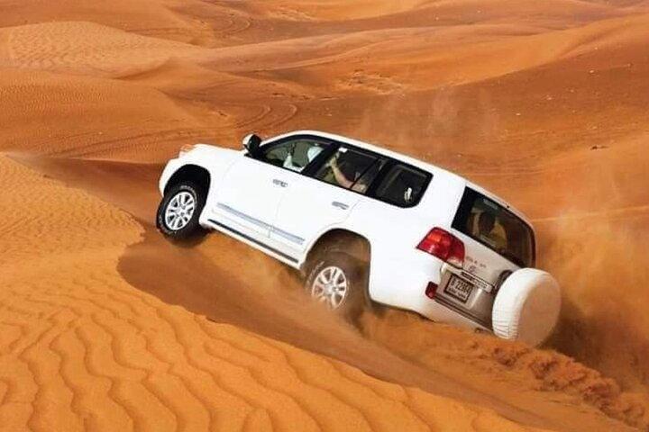 Abu Dhabi Private Morning Desert Safari - Family & Kids Friendly