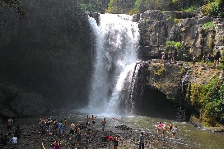Bali Horse Riding, Waterfall, Rice Terrace, Lunch - All Inclusive