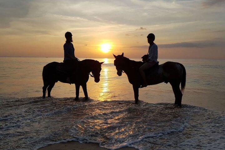 Sunset Beach Horseback Ride Phuket