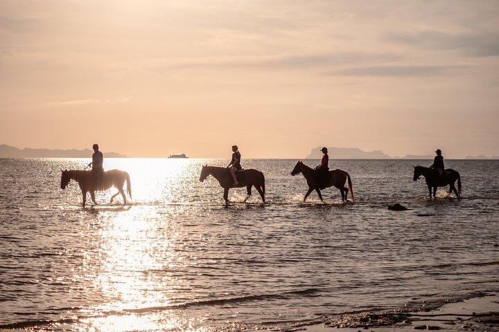 Sunset Beach Horseback Ride Phuket