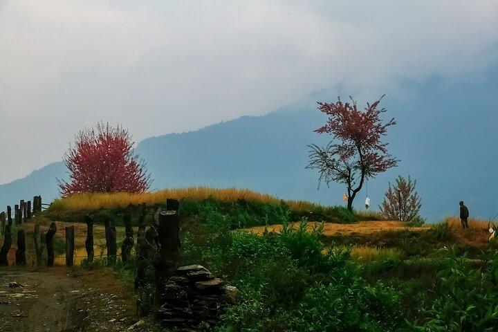 Pokhara 3 Days Ghorepani and Poon Hill Private Trek via Ghandruk