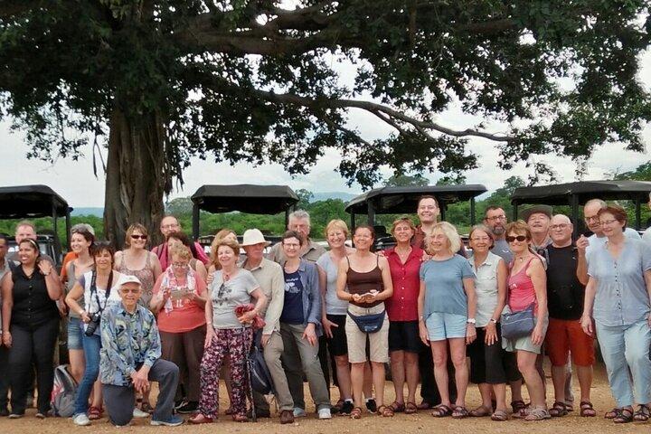 04 Hours Safari Jeep Tours