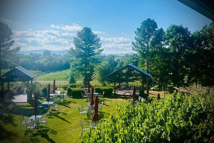 Three Vineyards Half Day Private Wine Tour From Asheville