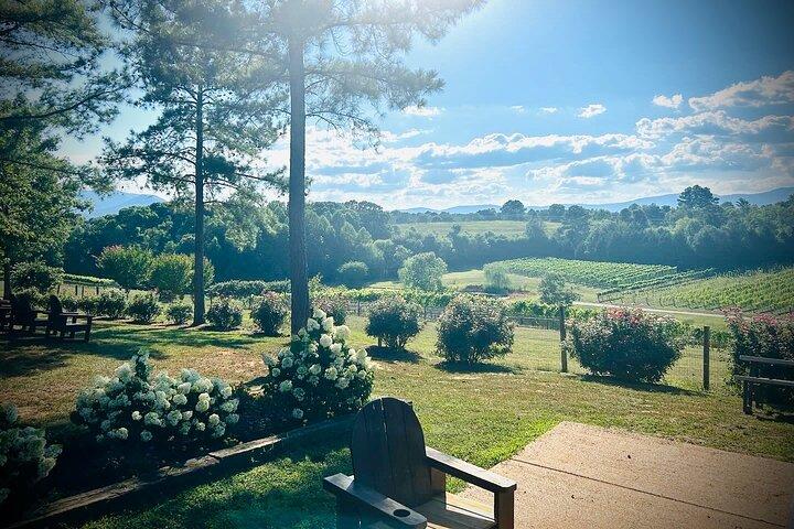 Three Vineyards Half Day Private Wine Tour From Asheville