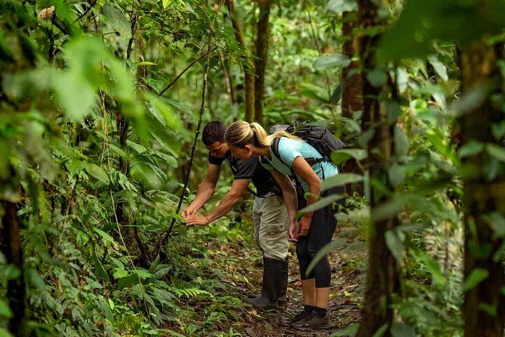 KNUCKLES FIVE PEAKS CAMPING & HIKING ToURS