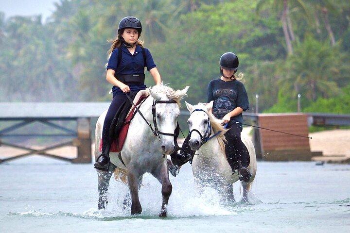Horse Riding and Beach Trails on Koh Samui