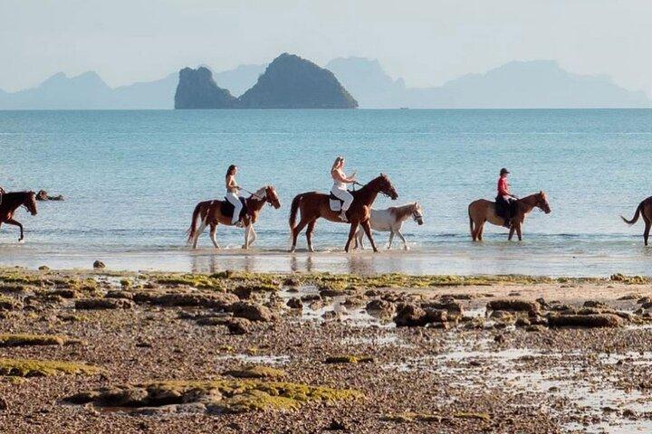 Horse Riding and Beach Trails on Koh Samui