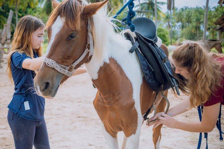 Horse Riding and Beach Trails on Koh Samui