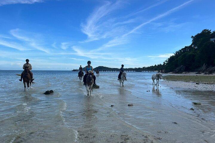 Horse Riding and Beach Trails on Koh Samui