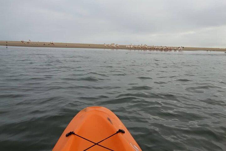 Seal Kayaking & Sandwich Harbour Tour