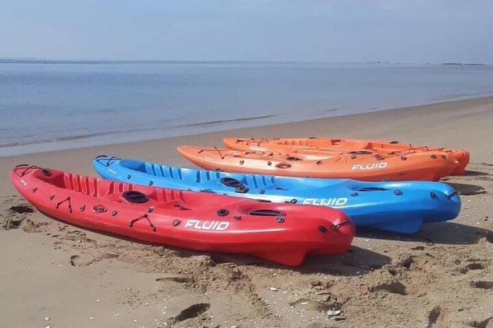Seal Kayaking at Pelican Point from Walvis Bay
