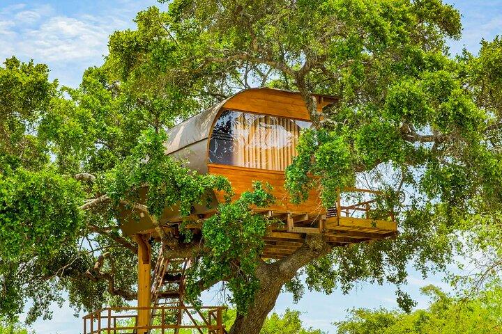 2 Nights All Inclusive Treehouse Safari in Yala with transfers