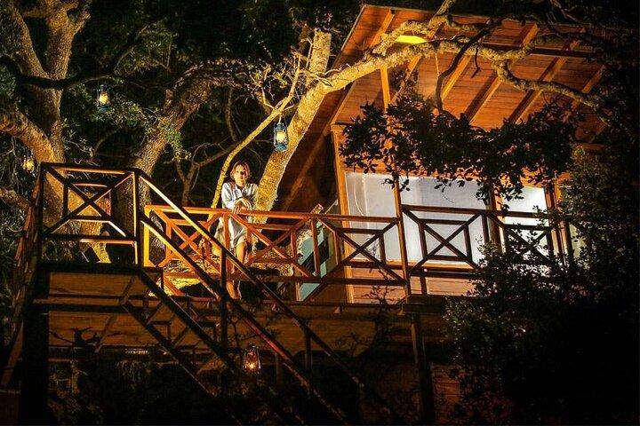 2 Nights All Inclusive Treehouse Safari in Yala with transfers
